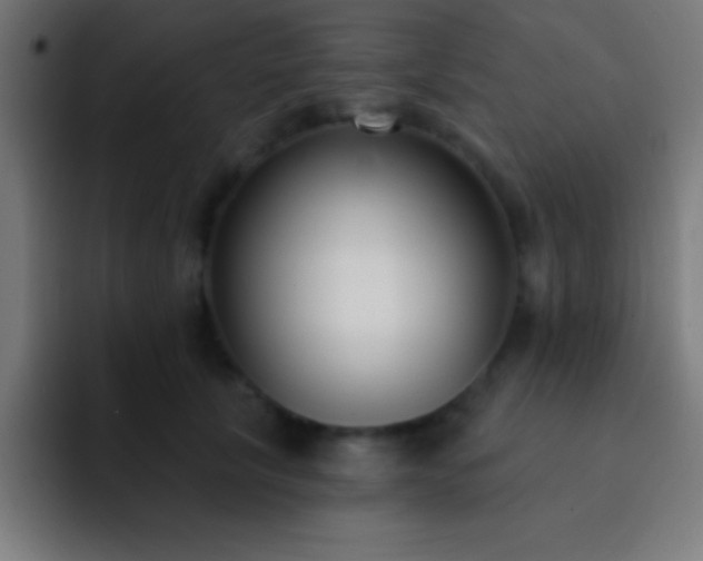 X0000093090657200710031813