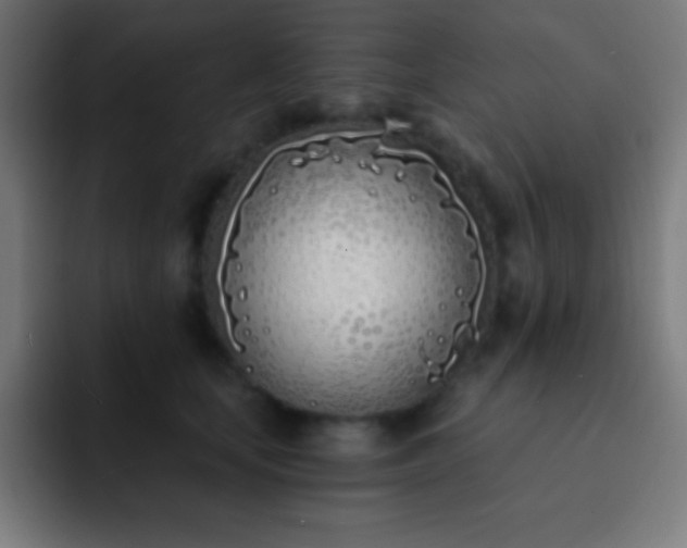 X0000093090659200710031813