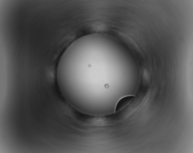 X0000093090668200710031813