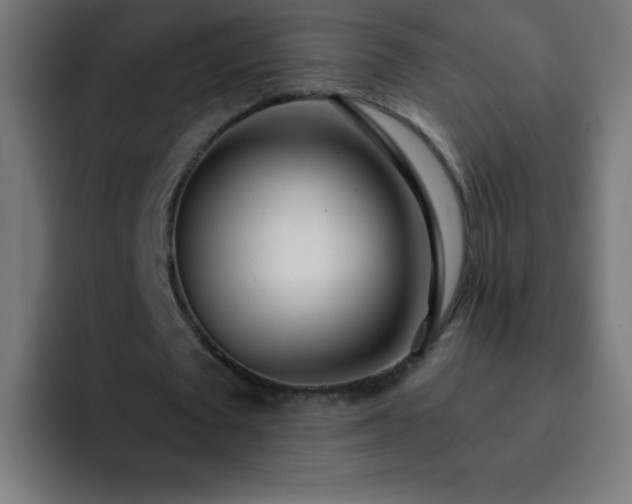 X0000093090673200710031812