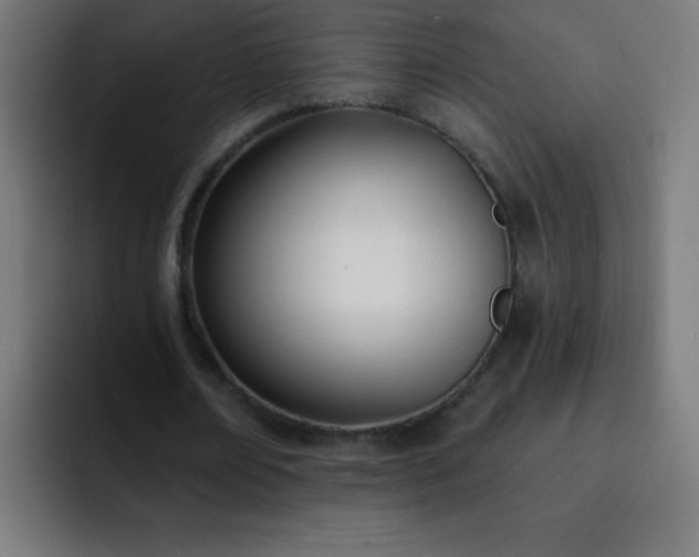 X0000093090674200710031812