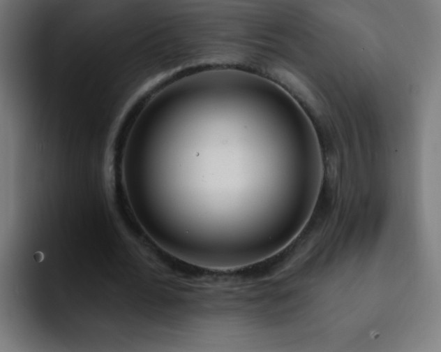 X0000093090676200710031812