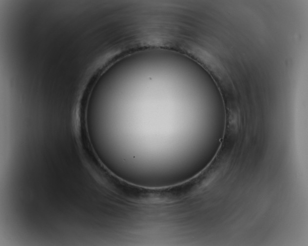 X0000093090678200710031812