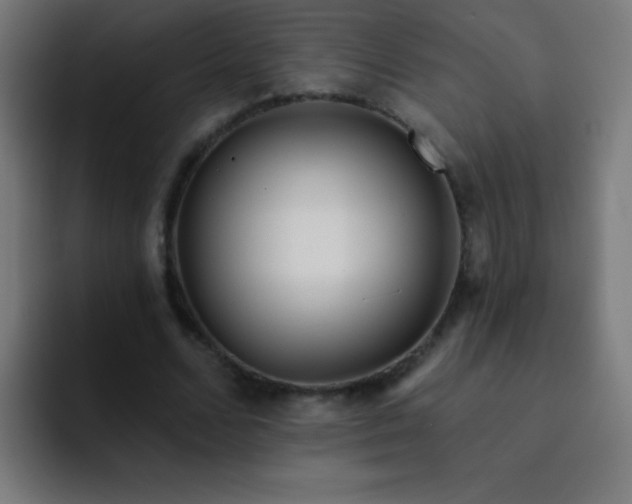 X0000093090680200710031812