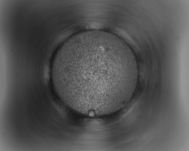 X0000093090683200710031812