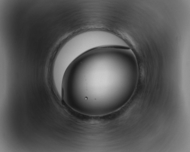 X0000093090684200710031812