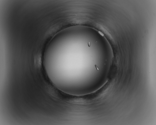 X0000093090685200710031812