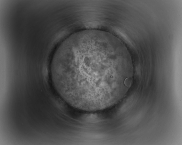 X0000093090687200710031812