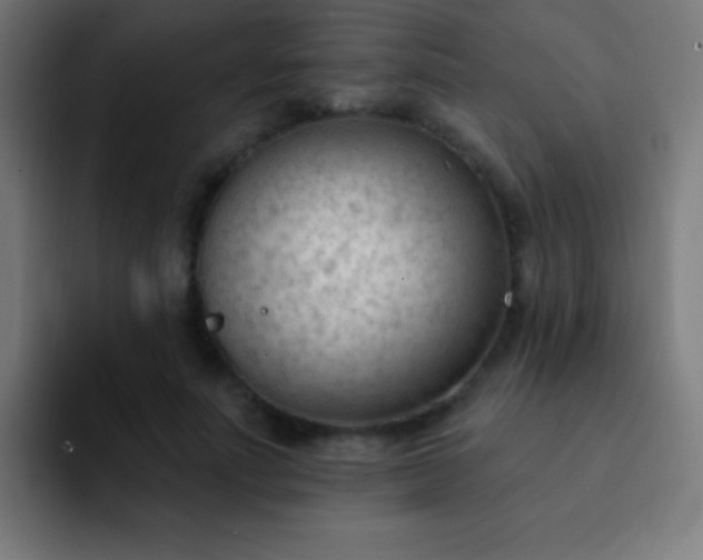 X0000093090691200710031812