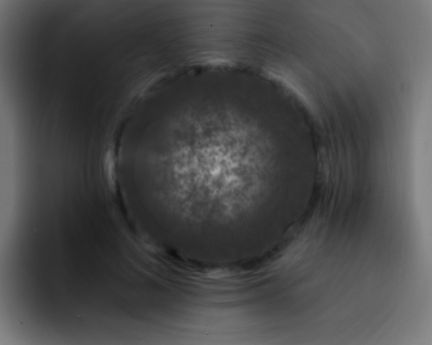 X0000093090692200710031812