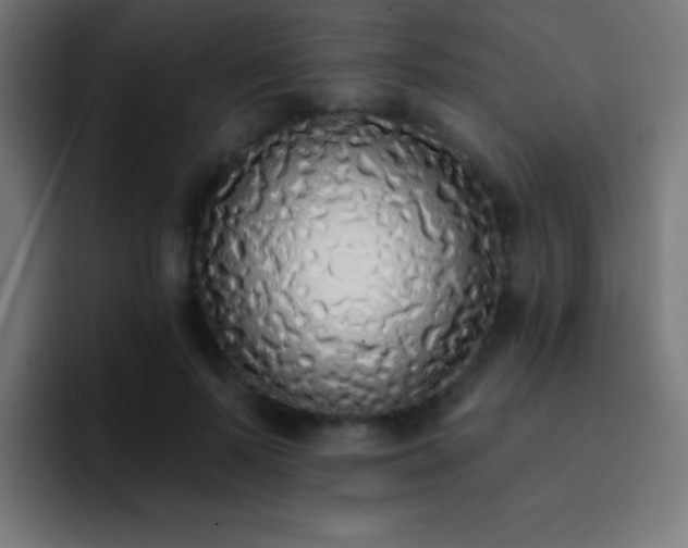 X0000093090695200710031812