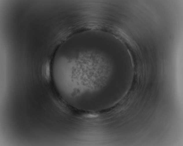 X0000093090696200710031812