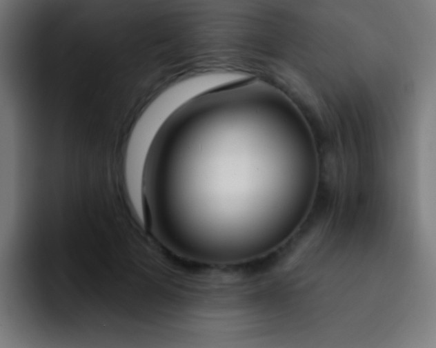 X0000093090697200710031812