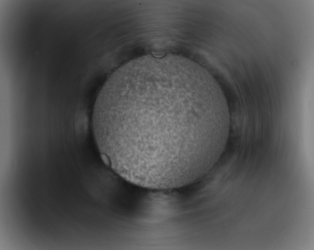 X0000093090703200710031812