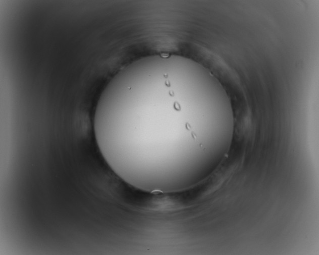 X0000093090704200710031812