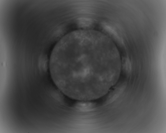 X0000093090712200710031812