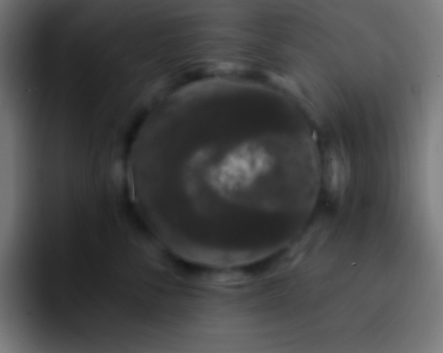 X0000093090716200710031812