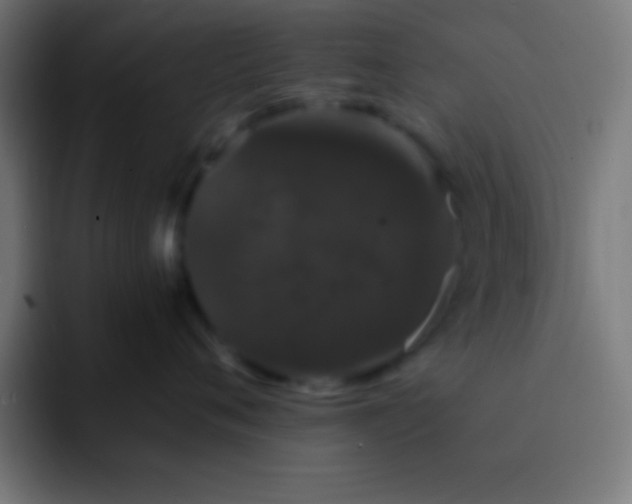 X0000093090720200710031812