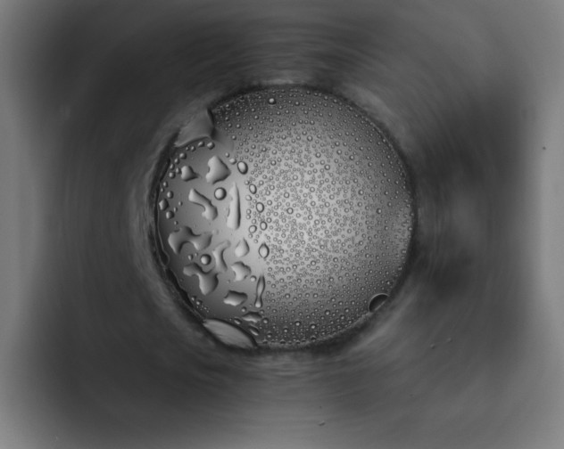 X0000093090721200710031811