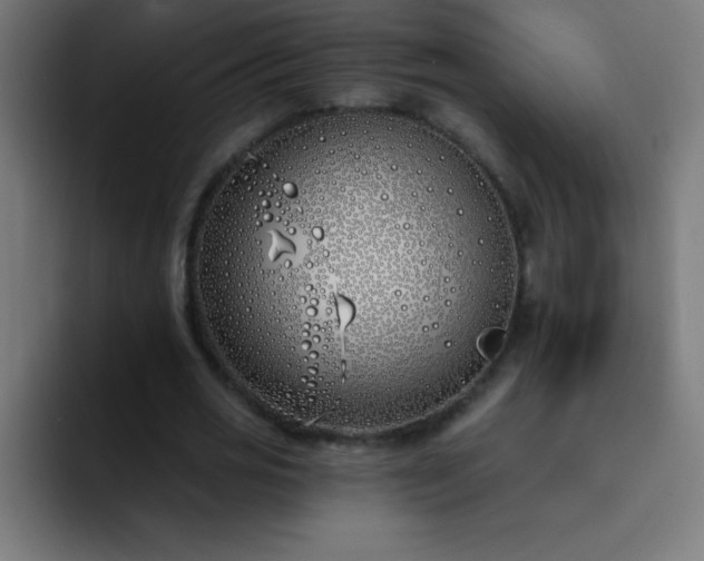 X0000093090725200710031811