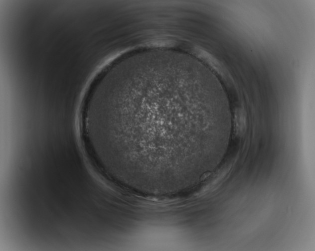 X0000093090726200710031811