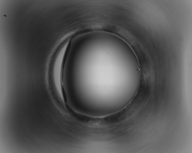 X0000093090728200710031811