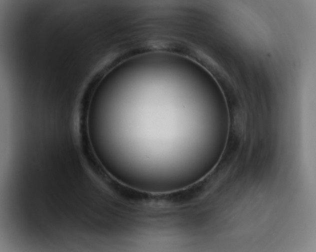 X0000093090730200710031811