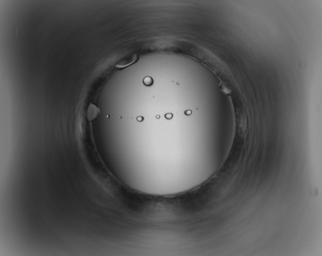 X0000093090732200710031811