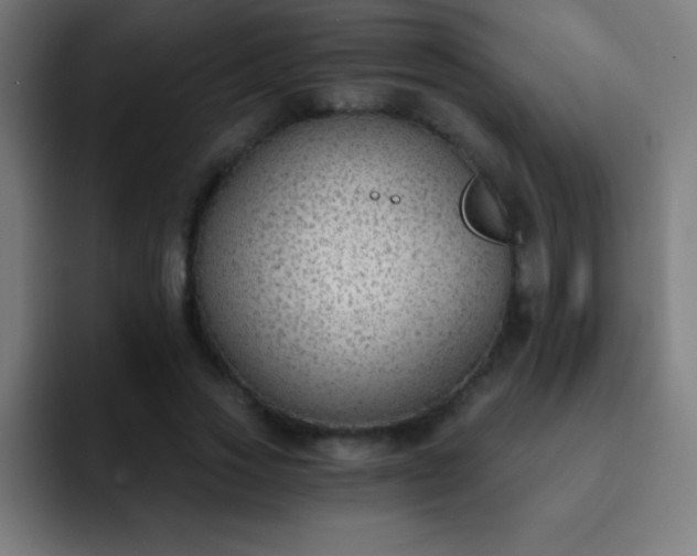 X0000093090733200710031811