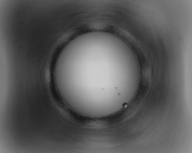 X0000093090734200710031811