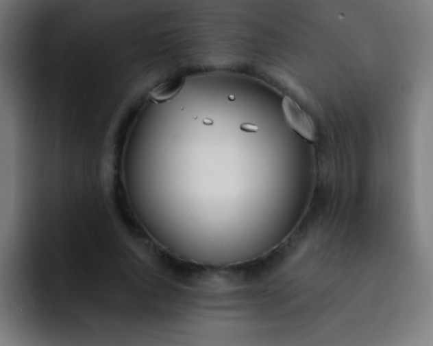 X0000093090736200710031811