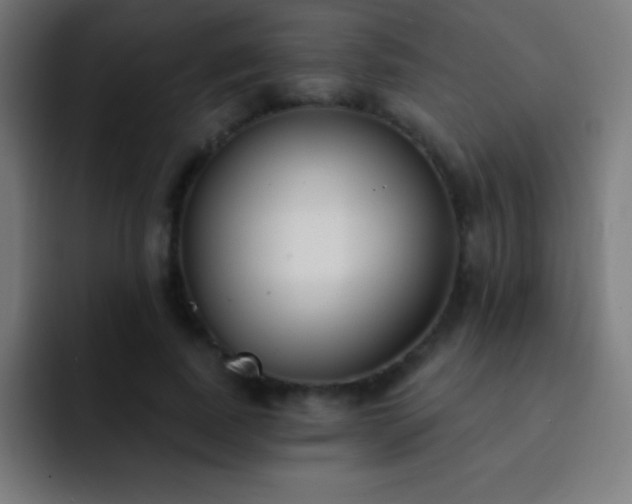 X0000093090739200710031811