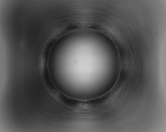 X0000093090742200710031811