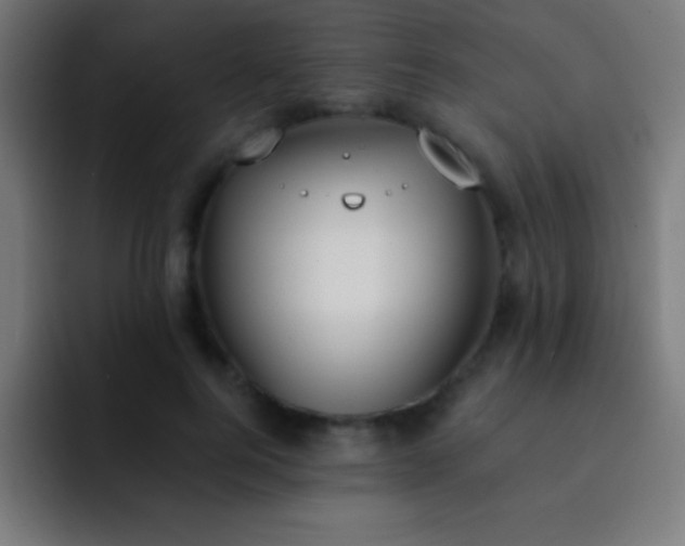 X0000093090744200710031811