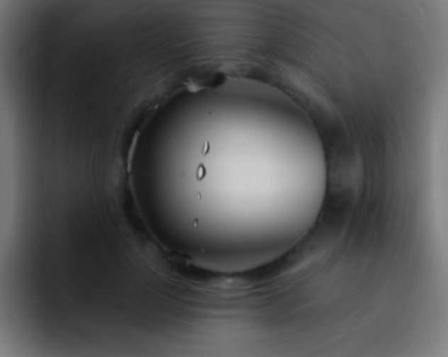 X0000093090748200710031811