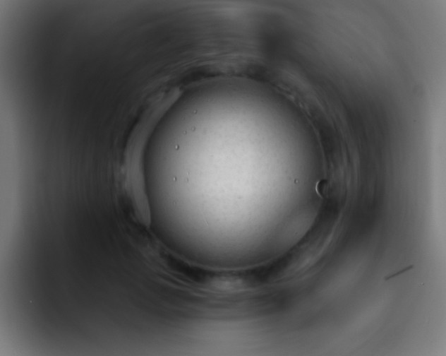 X0000093090749200710031811