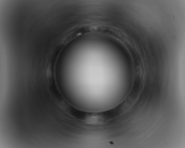 X0000093090754200710031812