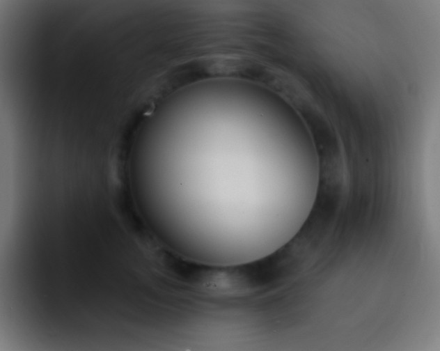 X0000093090755200710031812