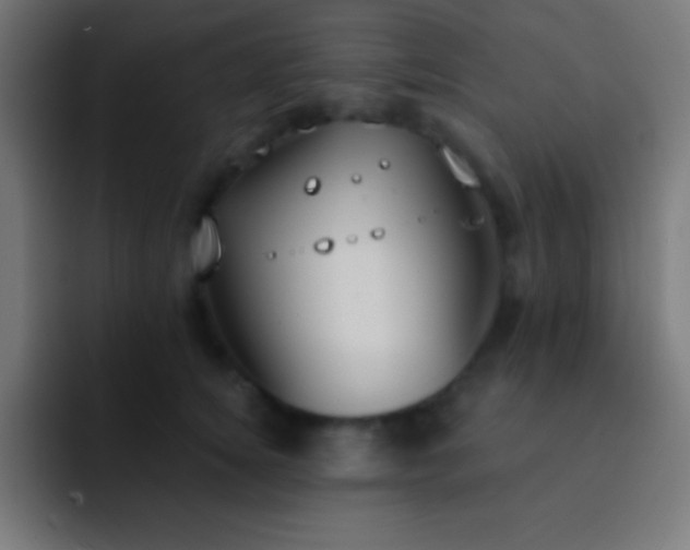 X0000093090756200710031812