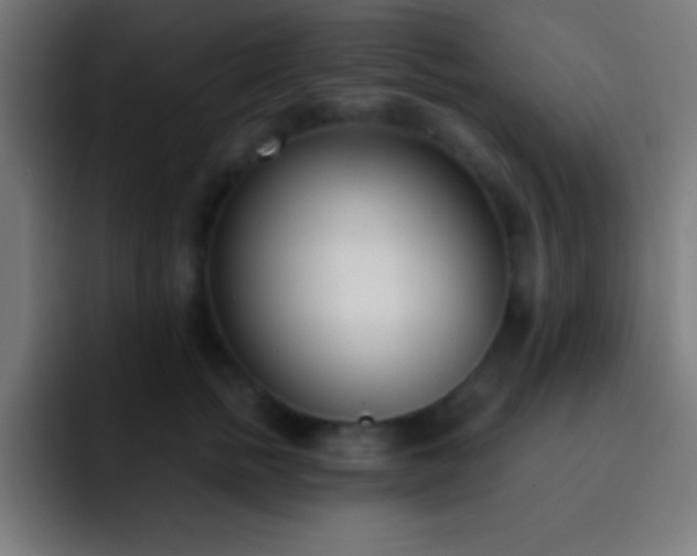 X0000093090758200710031812