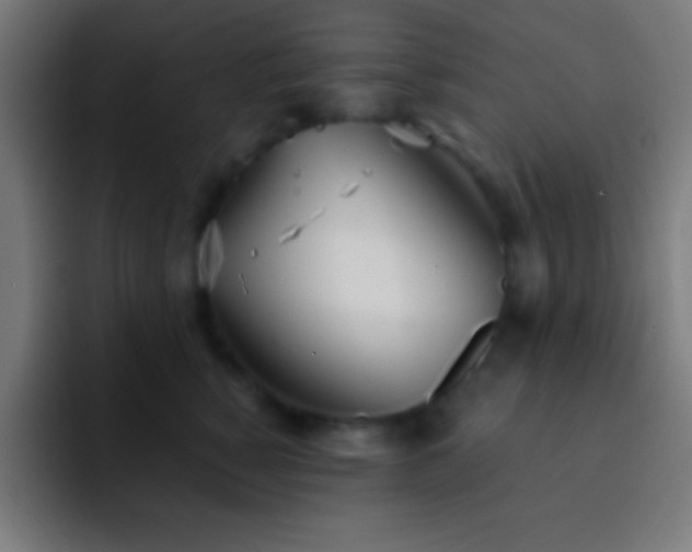 X0000093090760200710031812