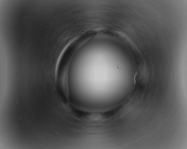 X0000093090762200710031812