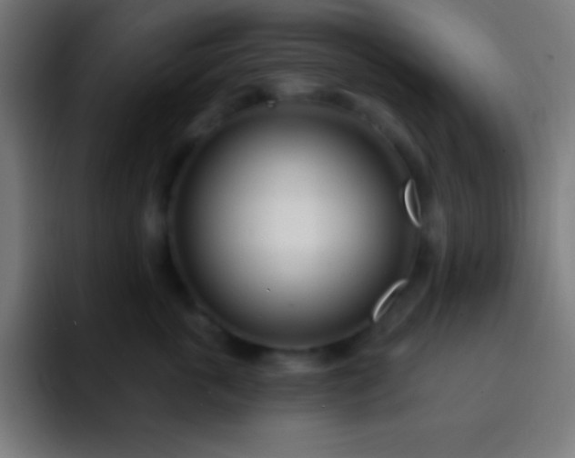 X0000093090763200710031812