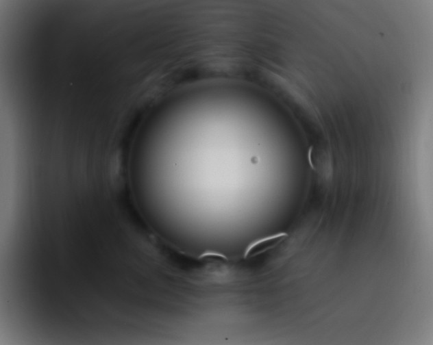 X0000093090764200710031812