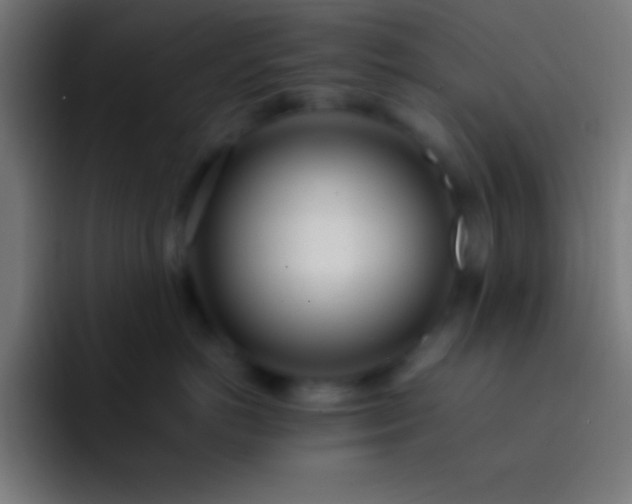 X0000093090766200710031812