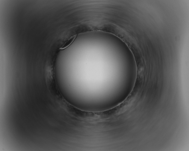 X0000093090772200710031811