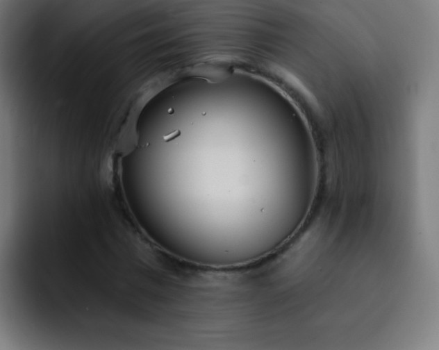 X0000093090777200710031811