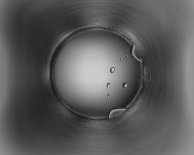 X0000093090780200710031811