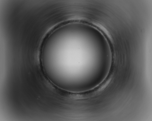 X0000093090783200710031811