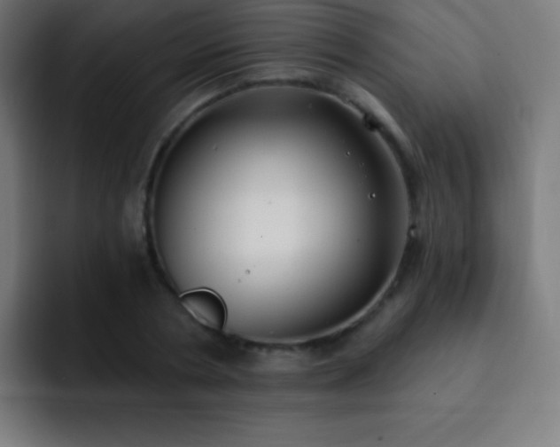 X0000093090786200710031811